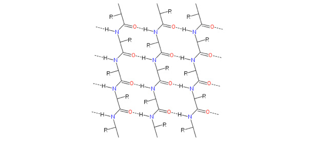 Molecole strutturali a rete